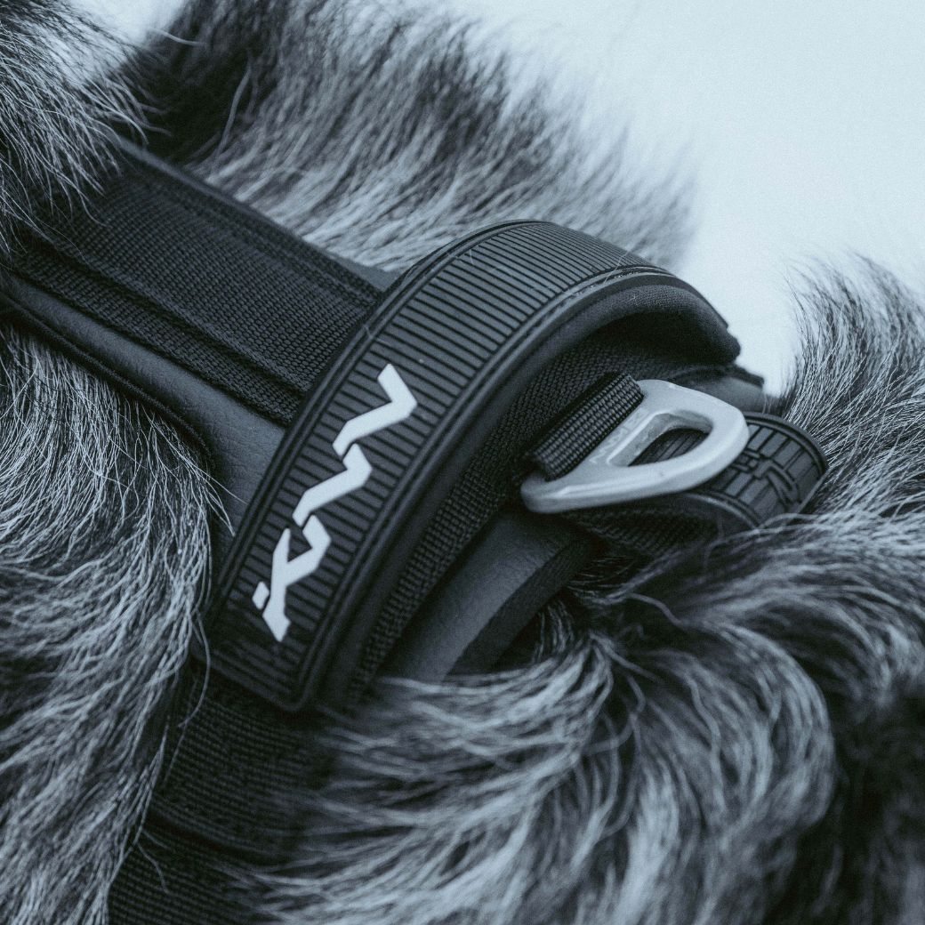 KNN CARBON HARNESS
