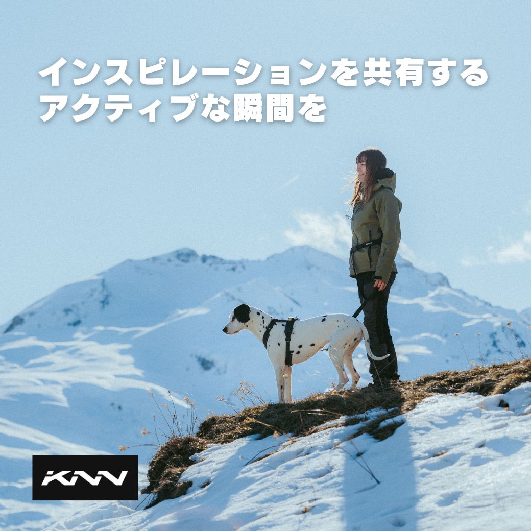 KNN CARBON HARNESS