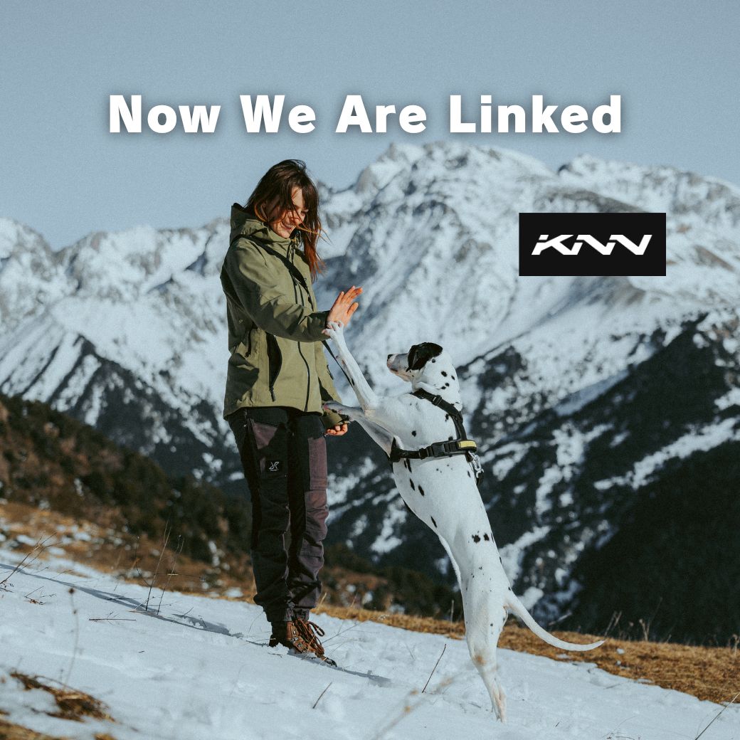 KNN CARBON HARNESS