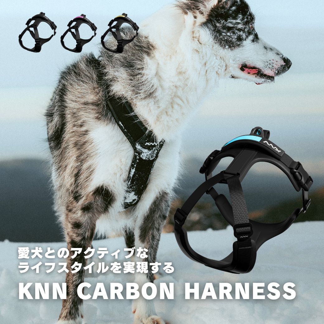 KNN CARBON HARNESS