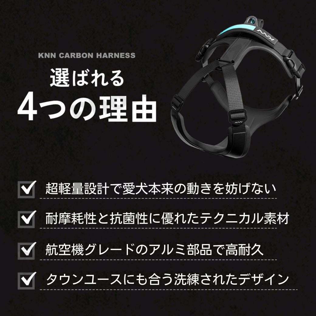 KNN CARBON HARNESS
