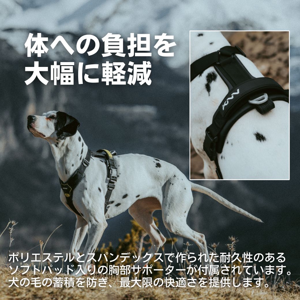 KNN CARBON HARNESS