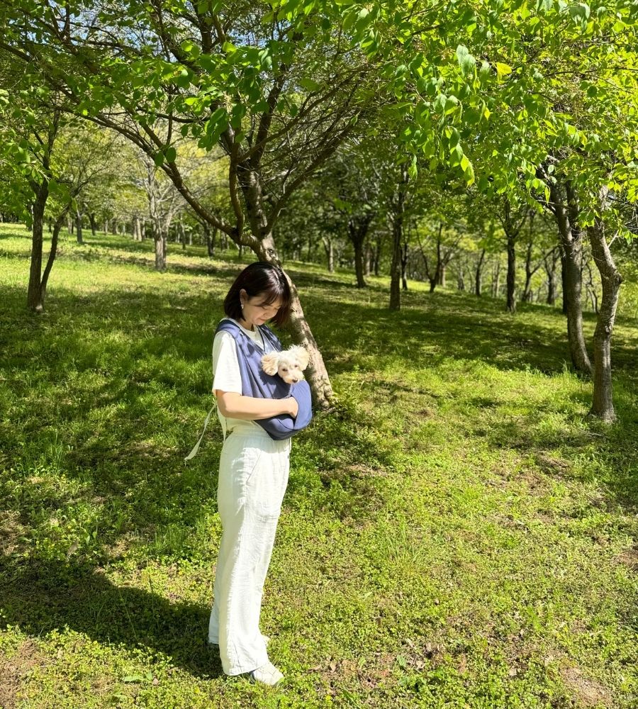 ARCANNE ICEPACK COMFYバッグ(保冷パック付き)