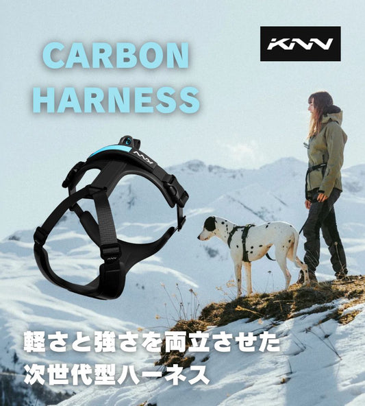 KNN CARBON HARNESS