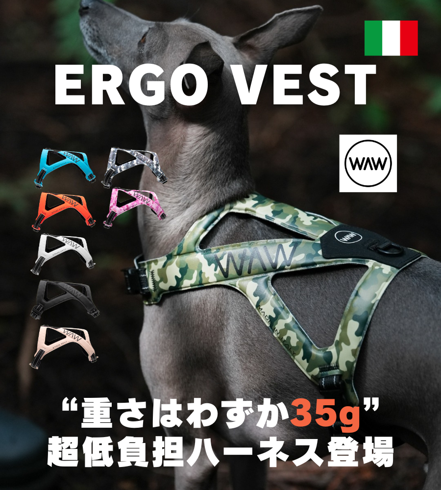 WAW ERGO VEST – Guppies
