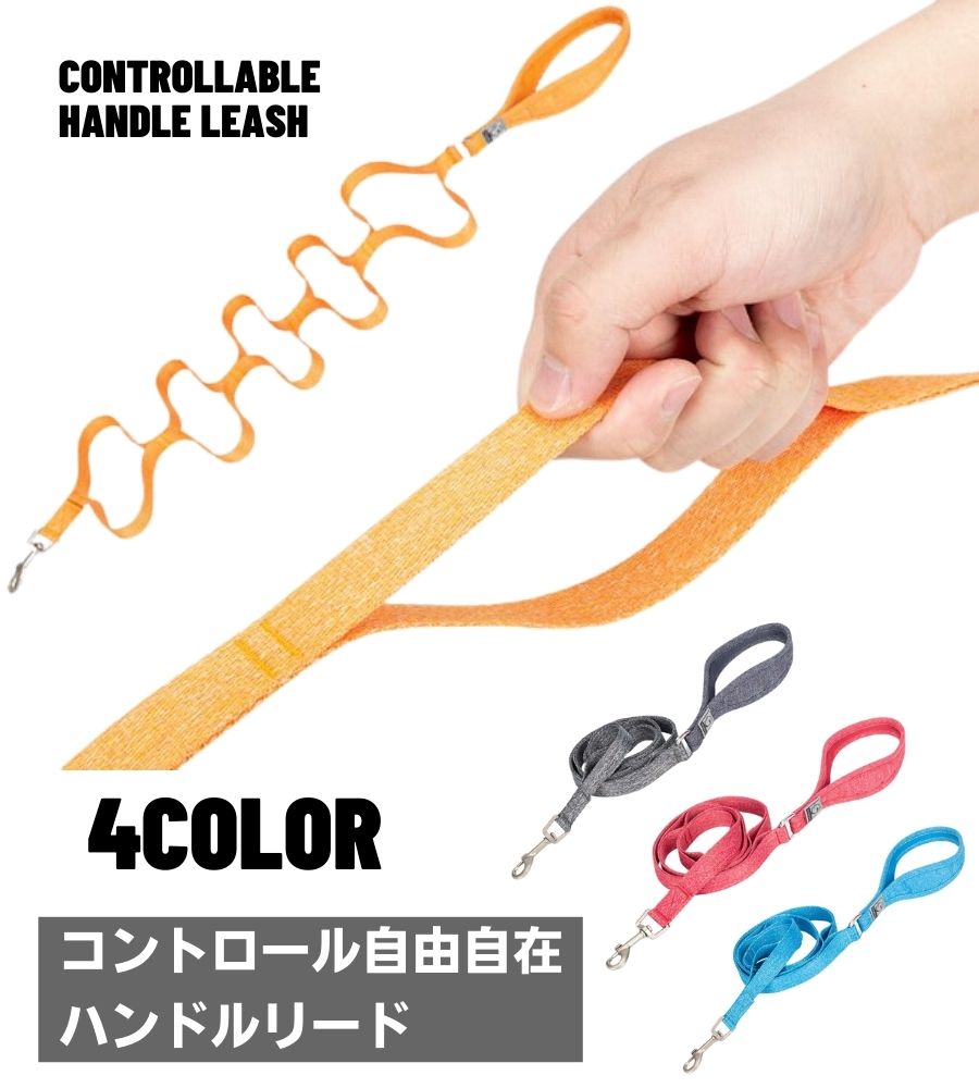 TRUE LOVE 2WAYハンドルリード