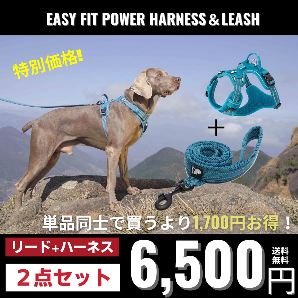 TRUE LOVE EASY FITパワーハーネス リードセット