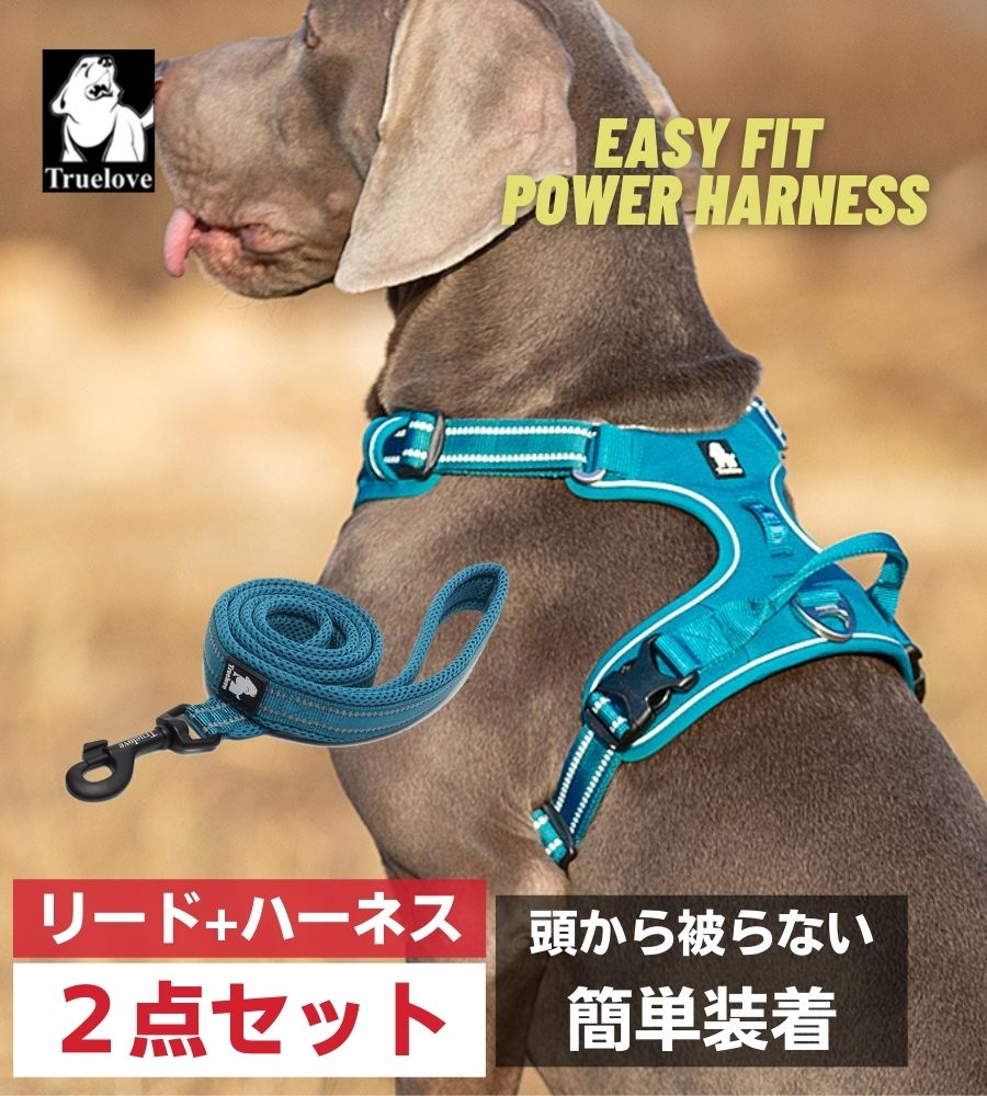 TRUE LOVE EASY FITパワーハーネス リードセット