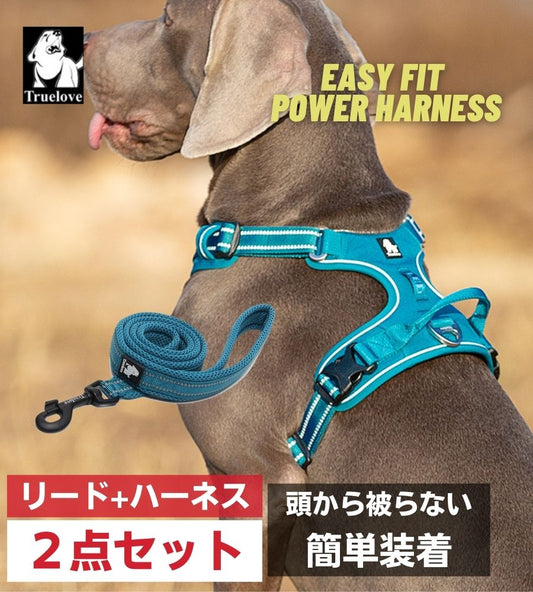 TRUE LOVE EASY FITパワーハーネス リードセット