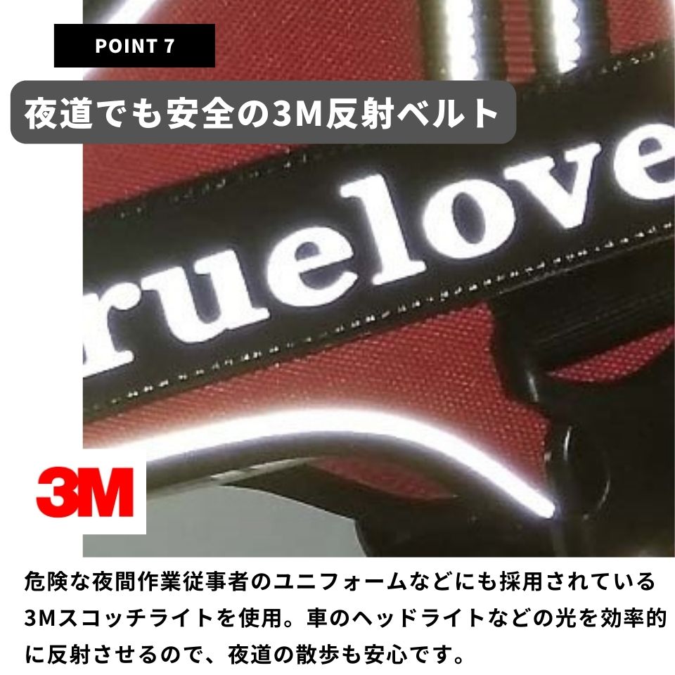 【TRUE LOVE】 EASY FITパワーハーネス ホールドタイプ