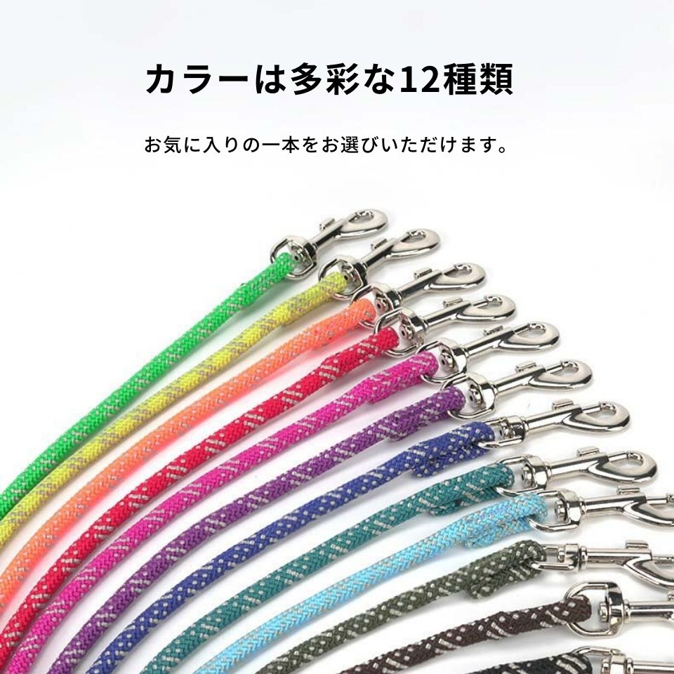 TRUE LOVE NYLON WEBBINGリード