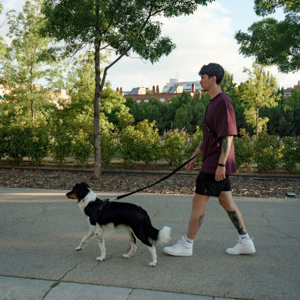 KNN CARBON HANDS FREE LEASH