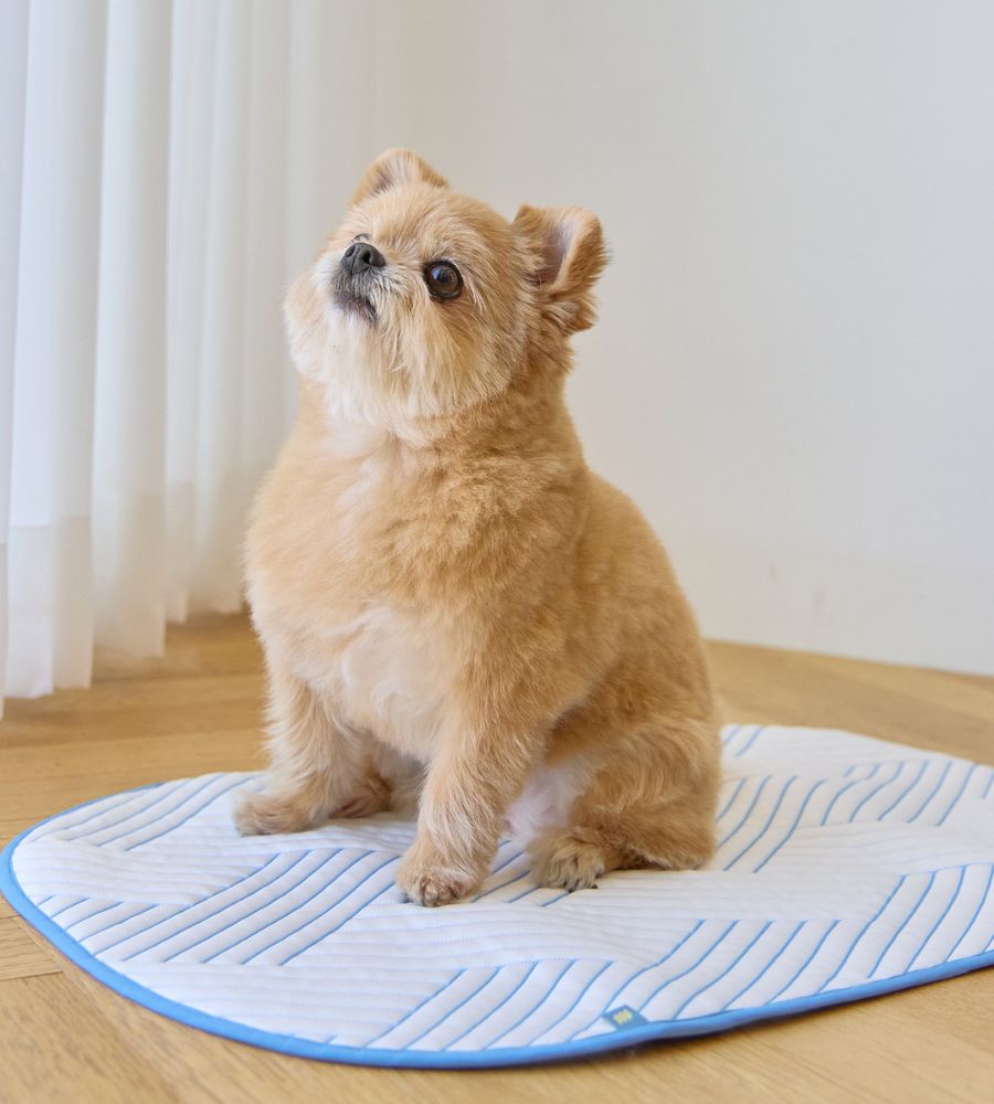 MERLIE DURALON ICE MAT 【MERLIEペットカート専用冷感マット】