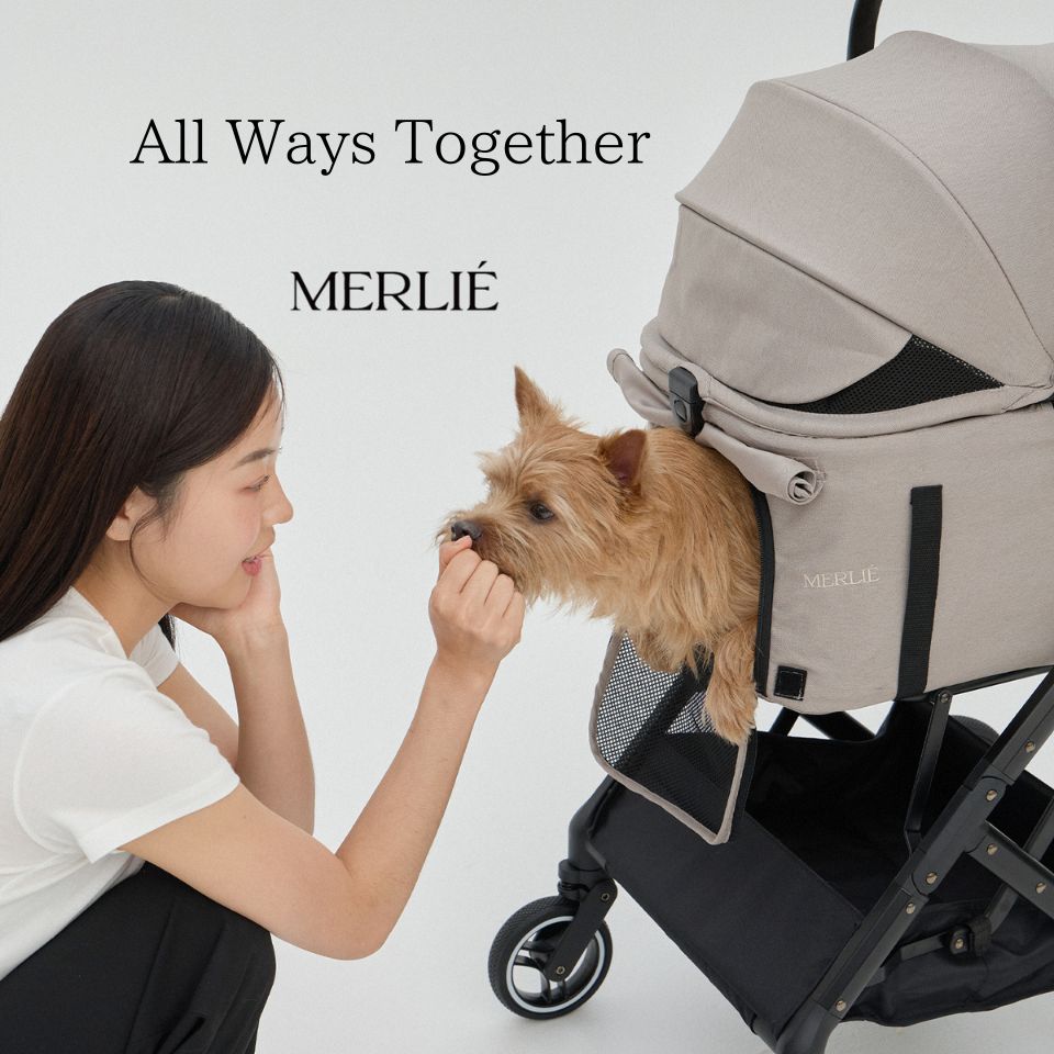 MERLIE 3WAY PET BUGGY MW2