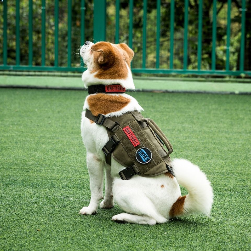 ONETIGRIS BEAST MOJO HARNESS