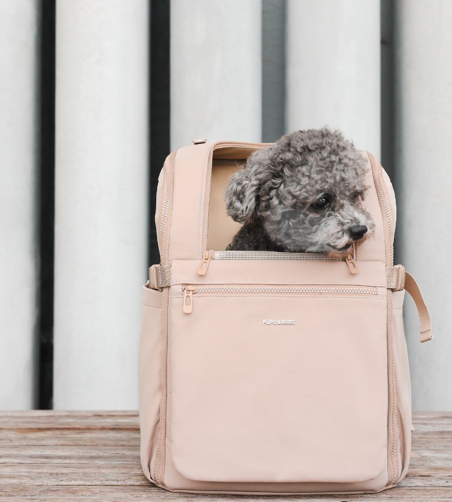 PUPS&BUBS Traveler Pet Carrier Backpack