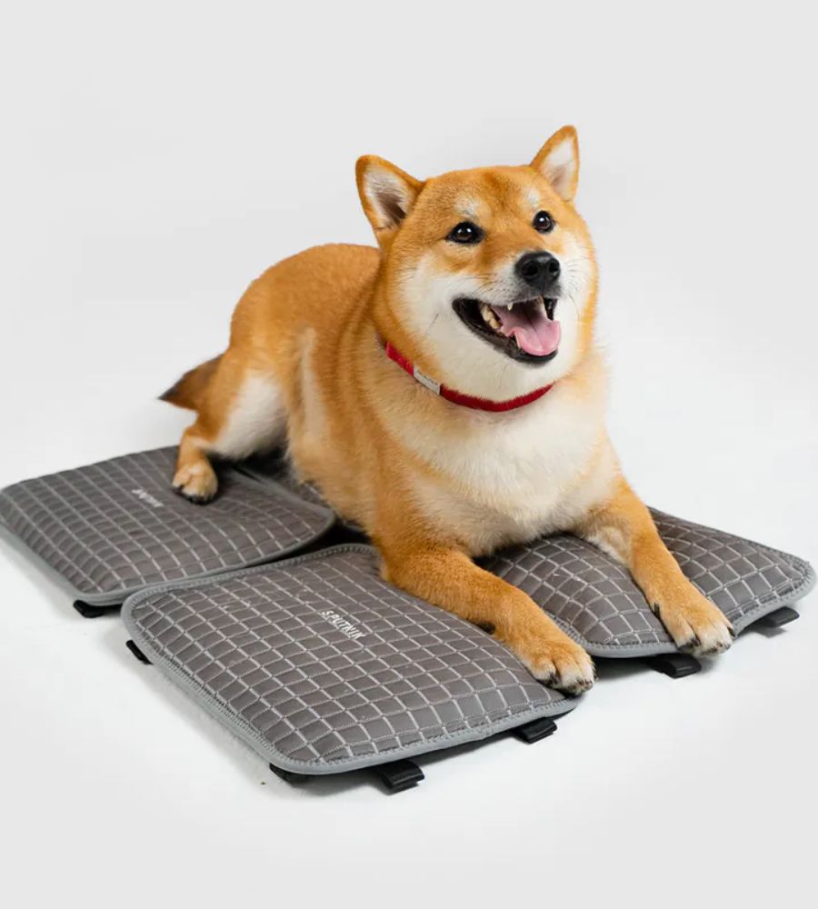 SPUTNIK ICE MAT
