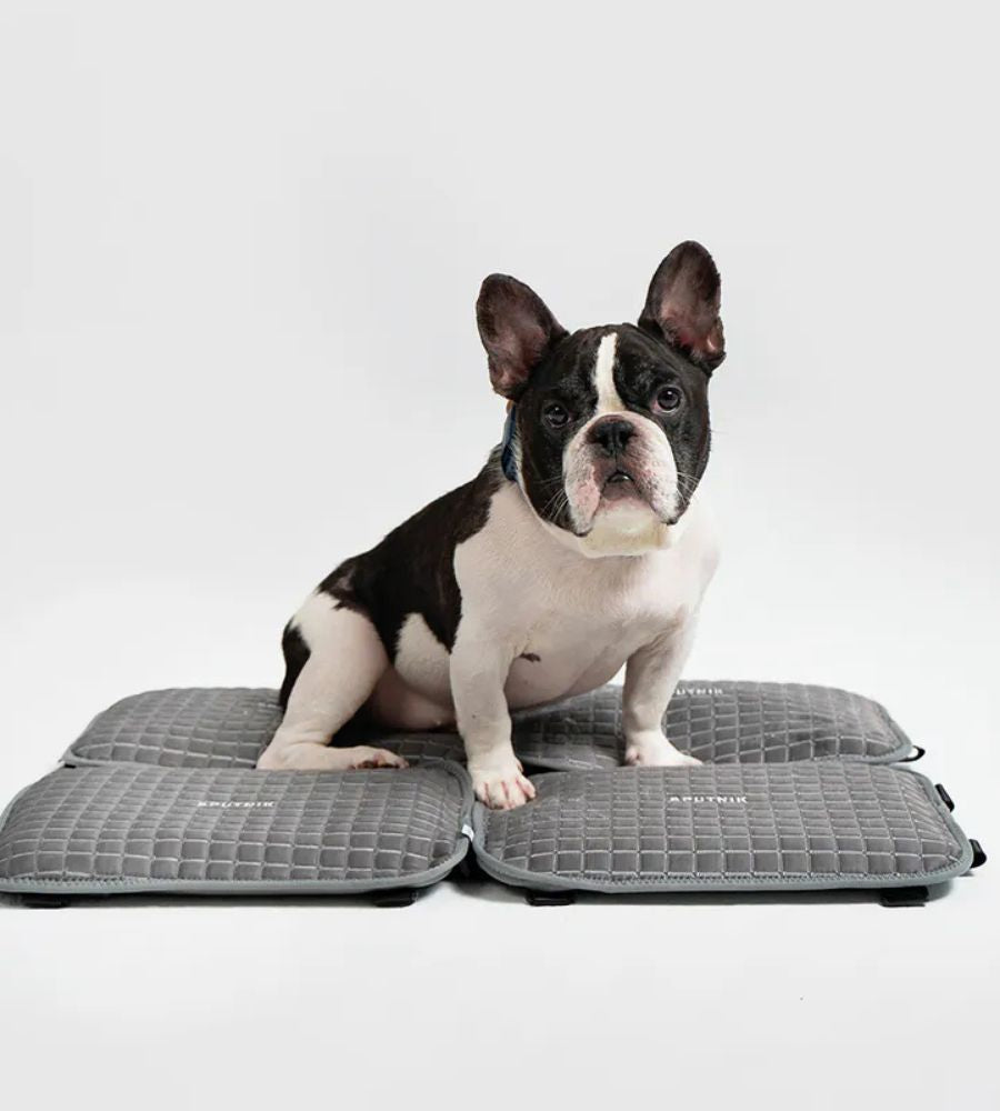 SPUTNIK ICE MAT