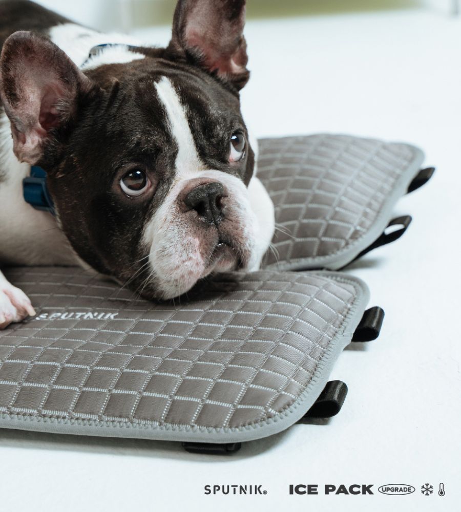 SPUTNIK ICE MAT