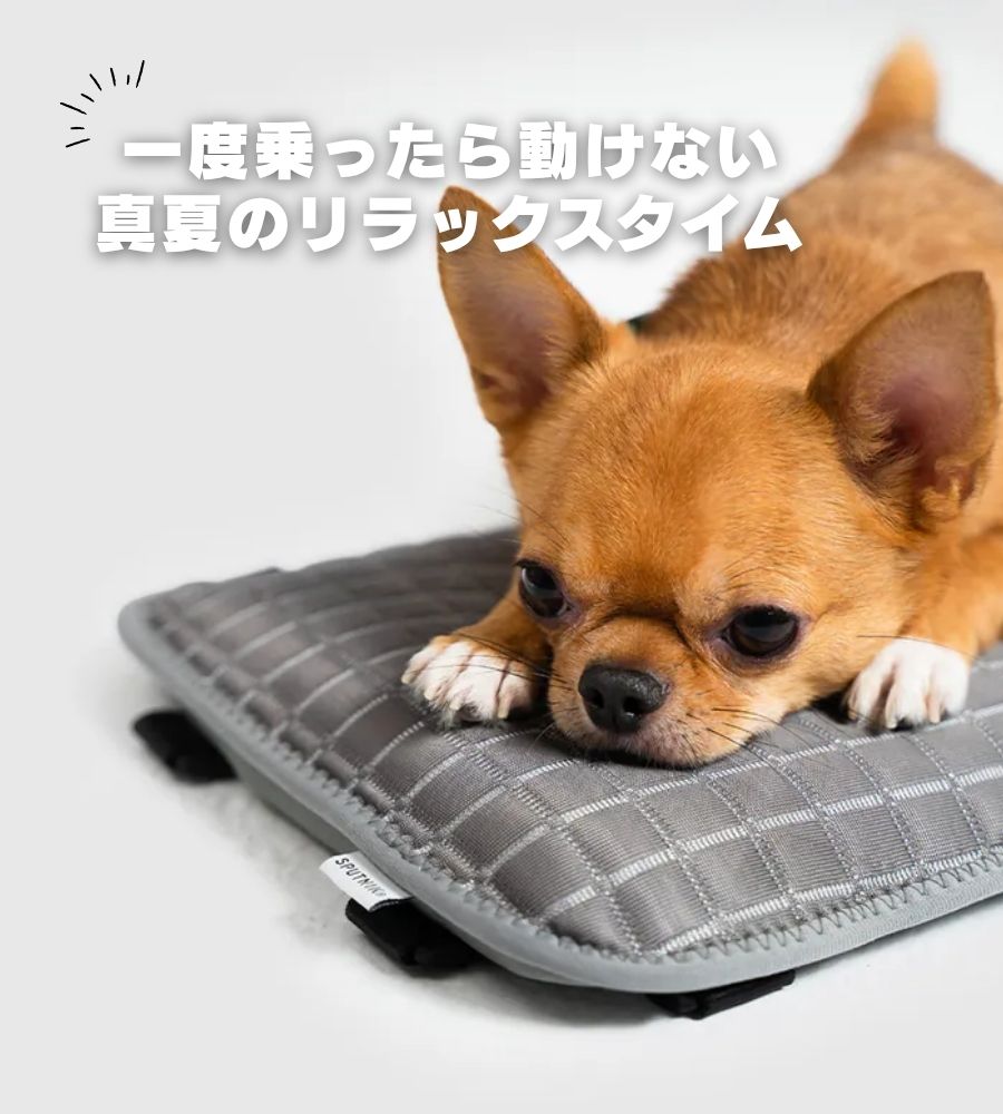 SPUTNIK ICE MAT