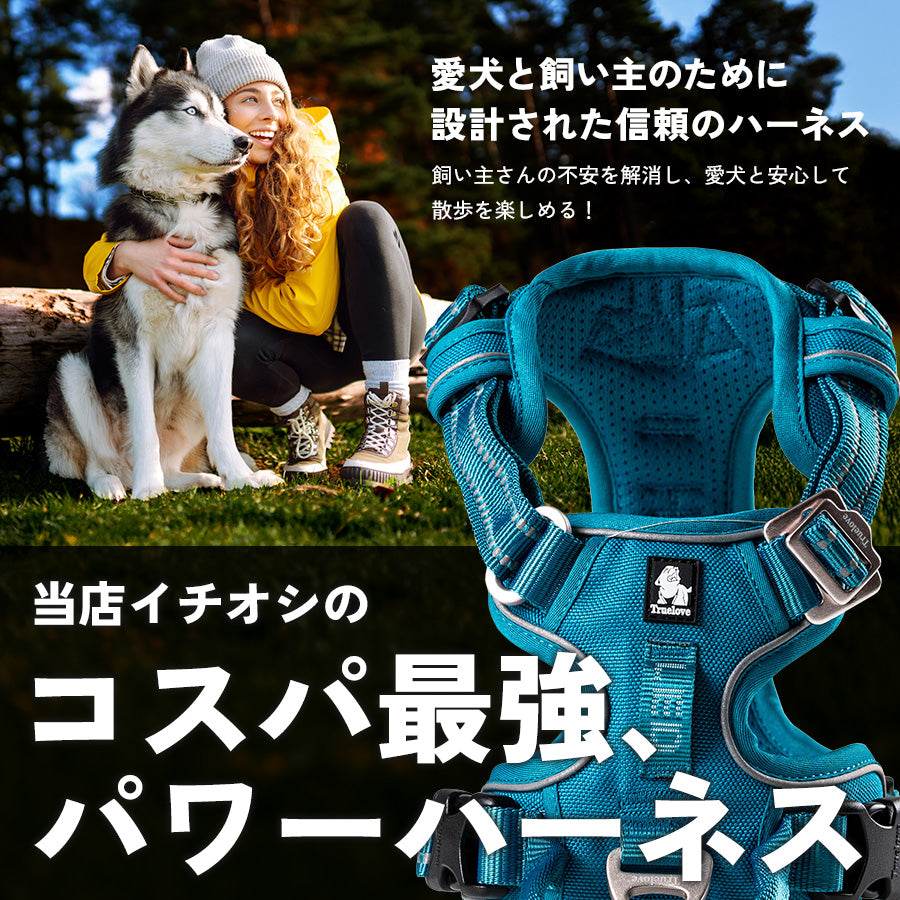 TRUE LOVE EASY FITパワーハーネス リードセット