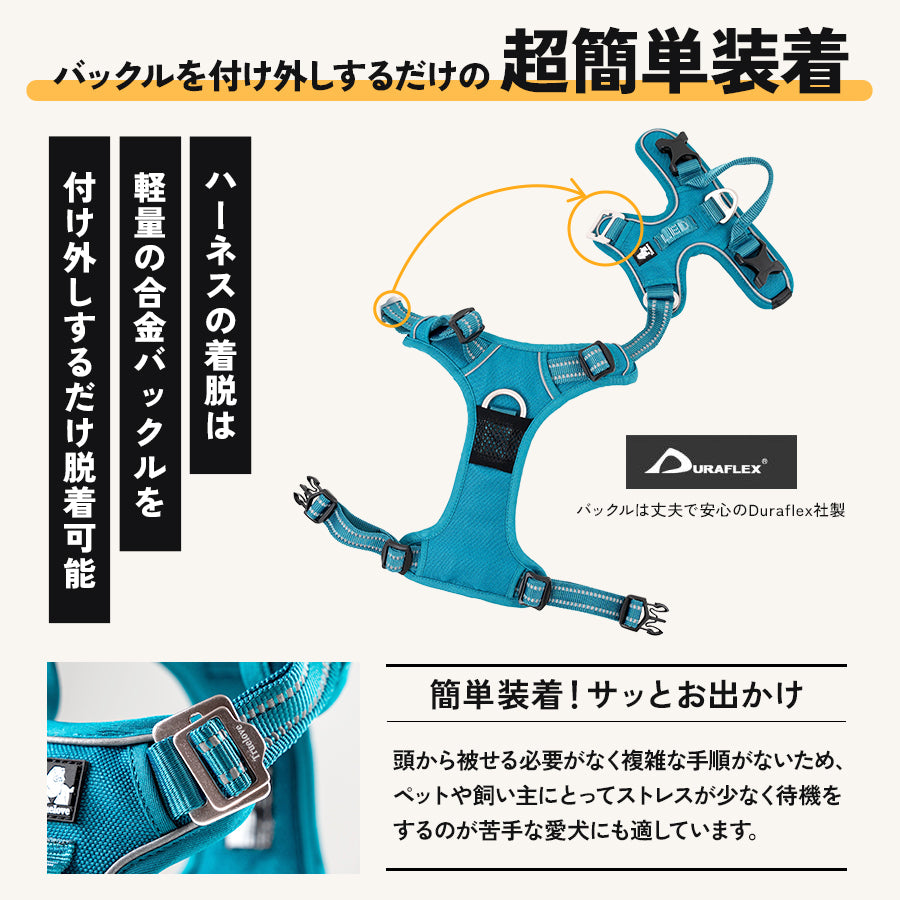 TRUE LOVE EASY FITパワーハーネス リードセット