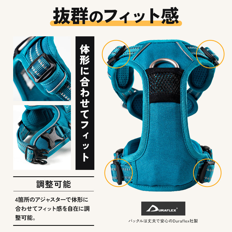TRUE LOVE EASY FITパワーハーネス リードセット