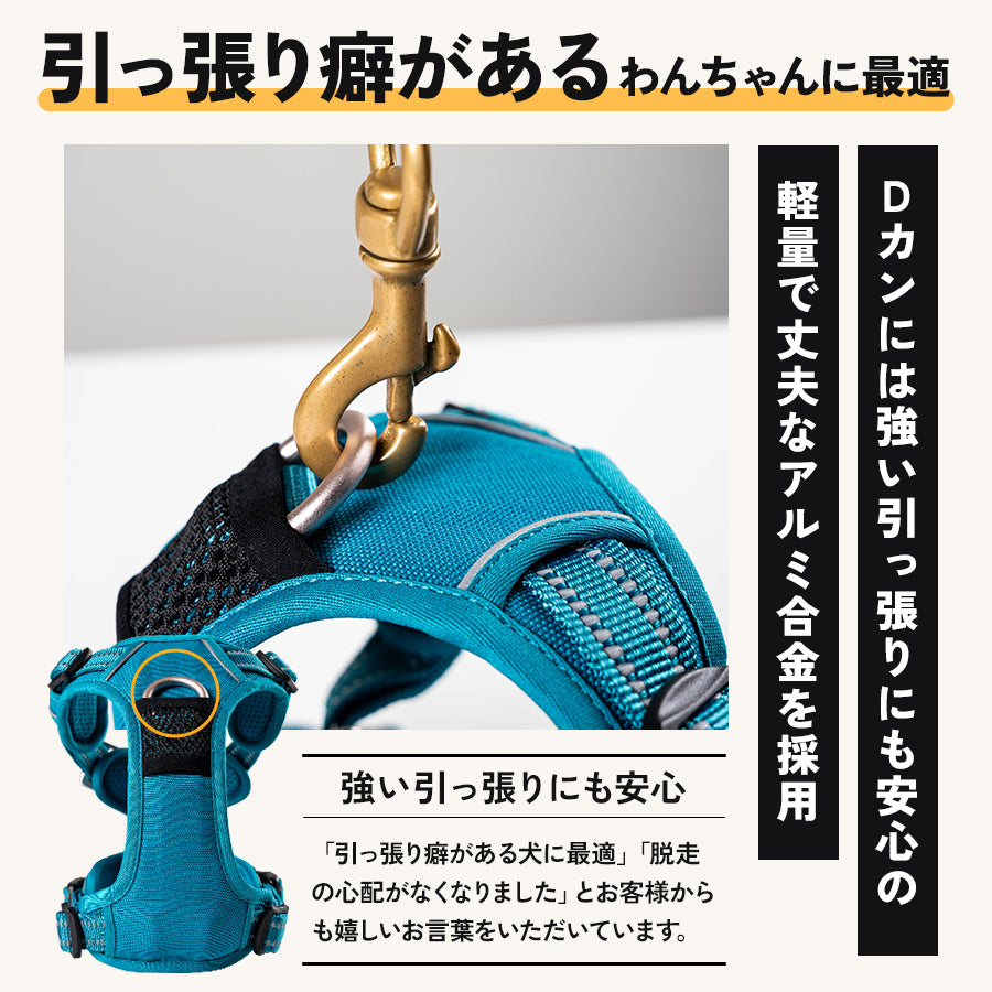 TRUE LOVE EASY FITパワーハーネス リードセット