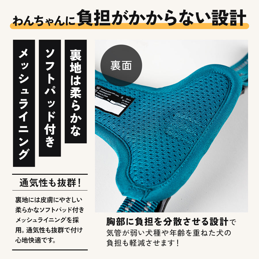 img_07.jpg__PID:56e658e4-69b2-430d-acb8-b8b74906e069