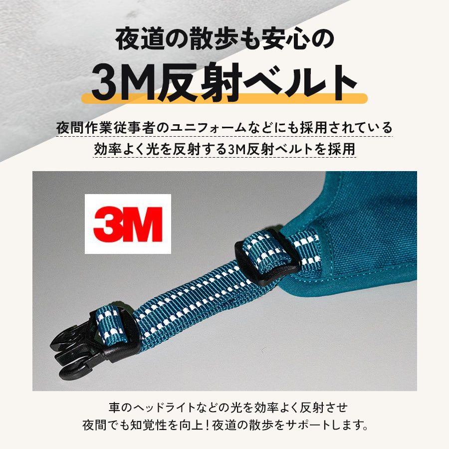TRUE LOVE EASY FITパワーハーネス リードセット