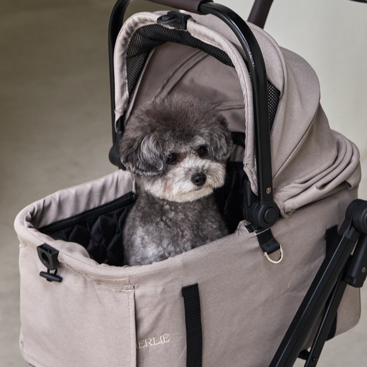 MERLIE 3WAY PET BUGGY MW2