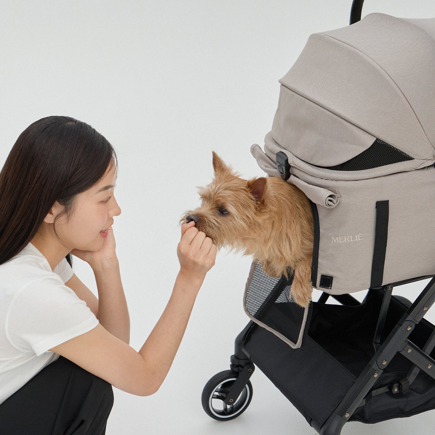 MERLIE 3WAY PET BUGGY MW2