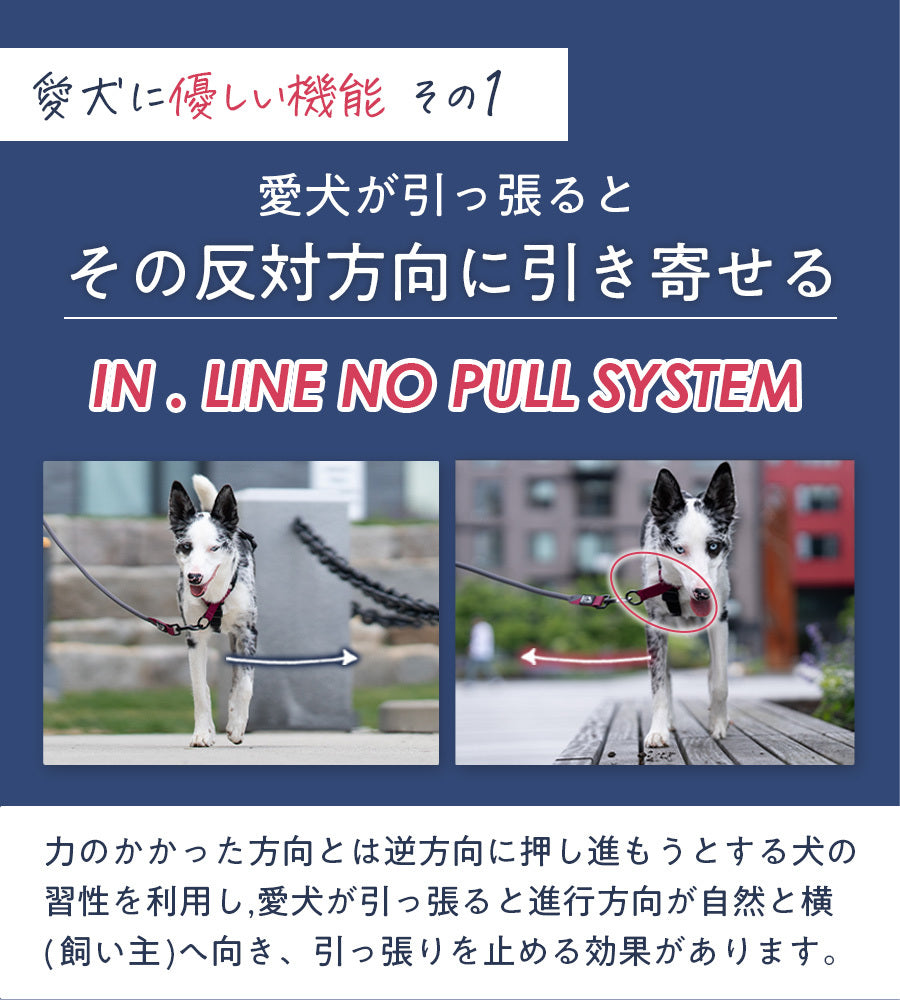 BAUMUTT IN.LINE NO-PULLハーネス