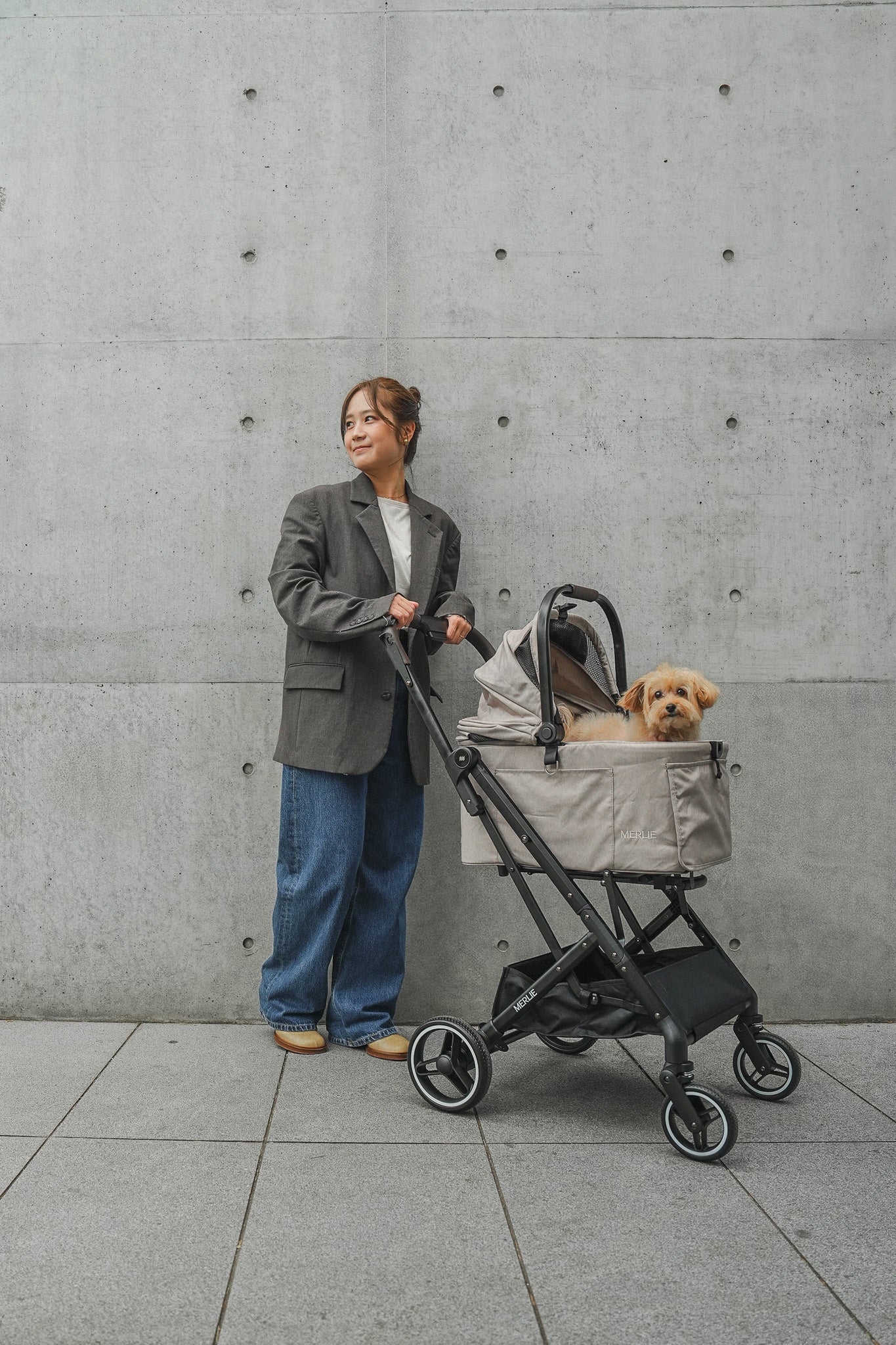 【予約販売】MERLIE 3WAY PET BUGGY MW2
