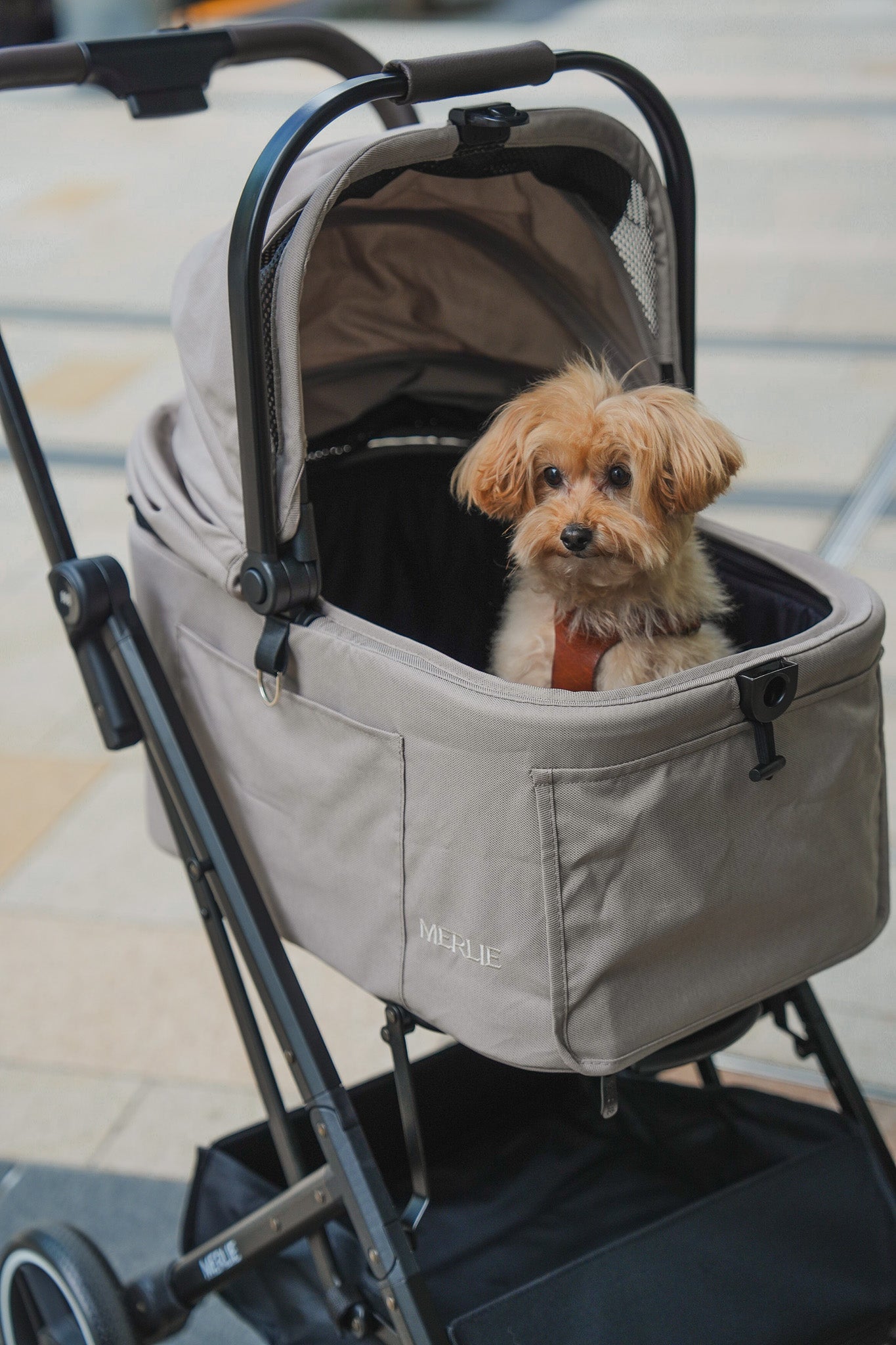 【予約販売】MERLIE 3WAY PET BUGGY MW2