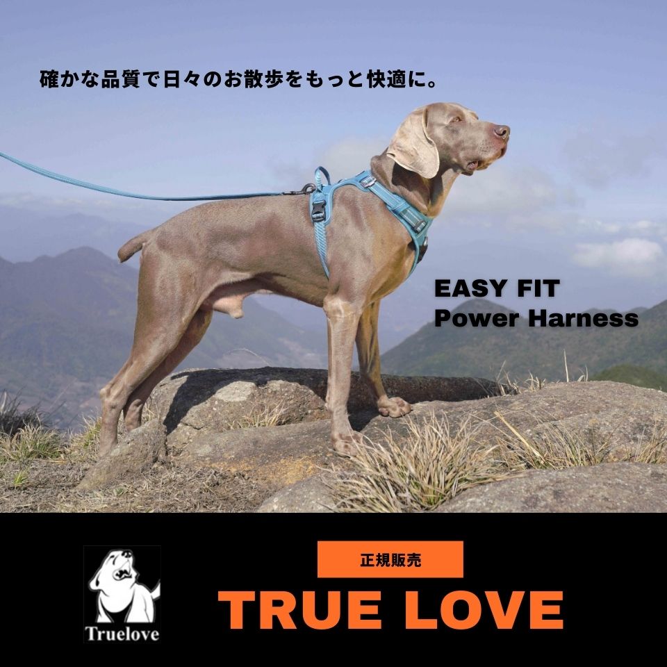 TRUE LOVE EASY FIT パワーハーネス