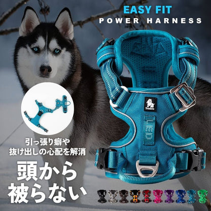 TRUE LOVE EASY FIT パワーハーネス