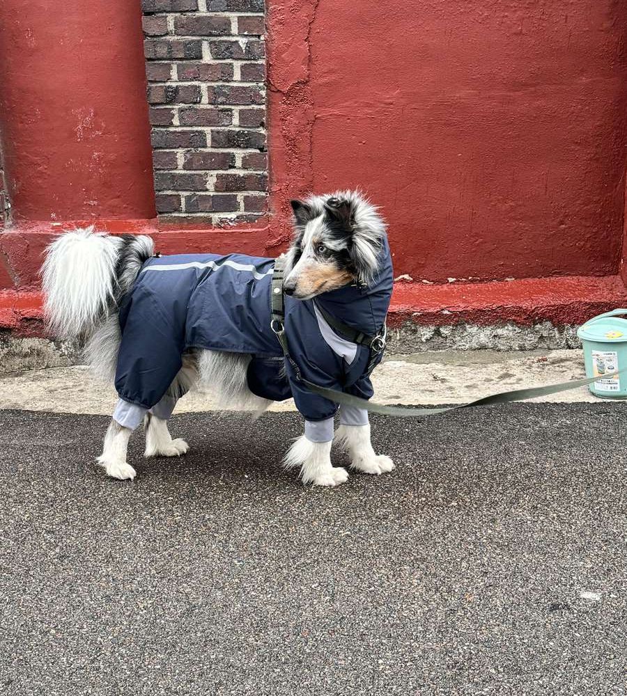 LHAKEN LAUTER RAIN OVERALL