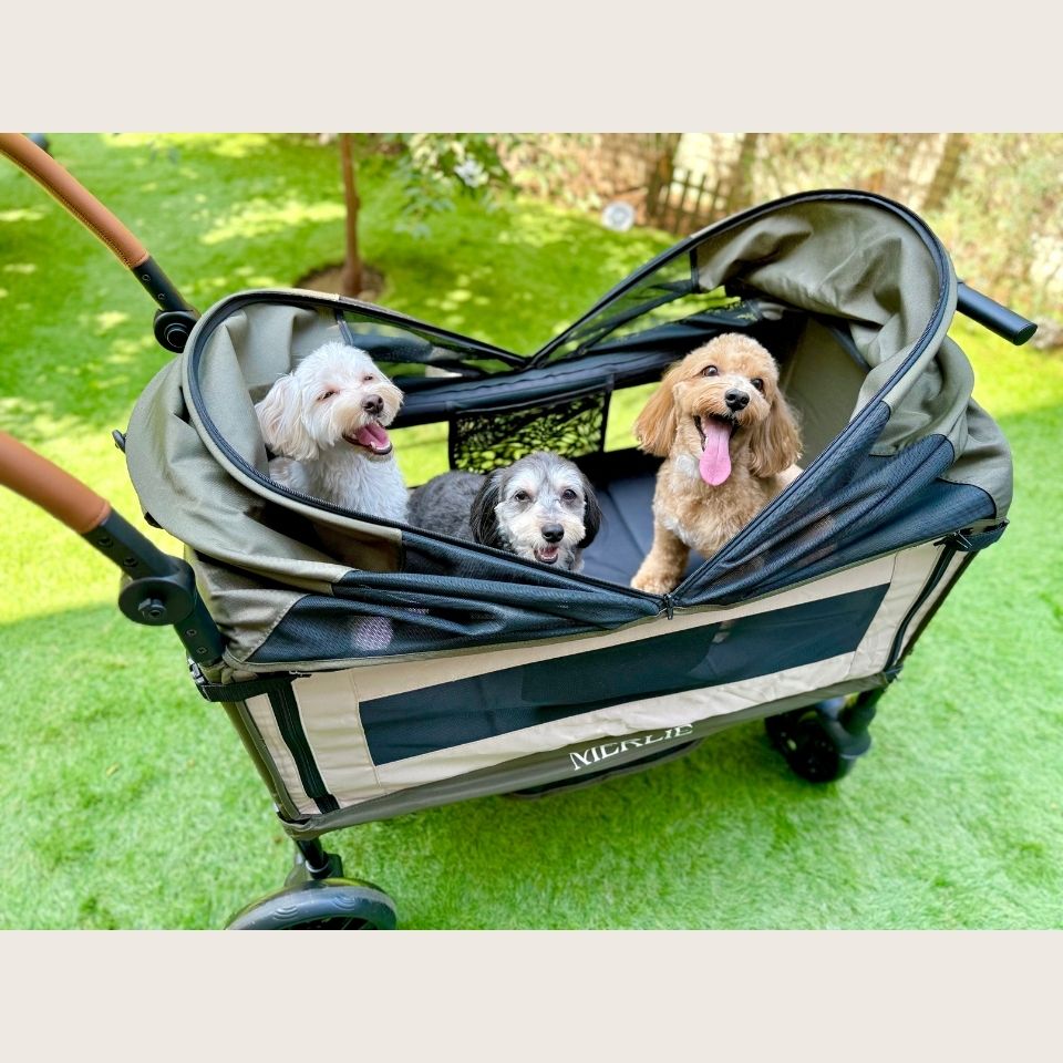 MERLIE 3WAY PET WAGON MW6