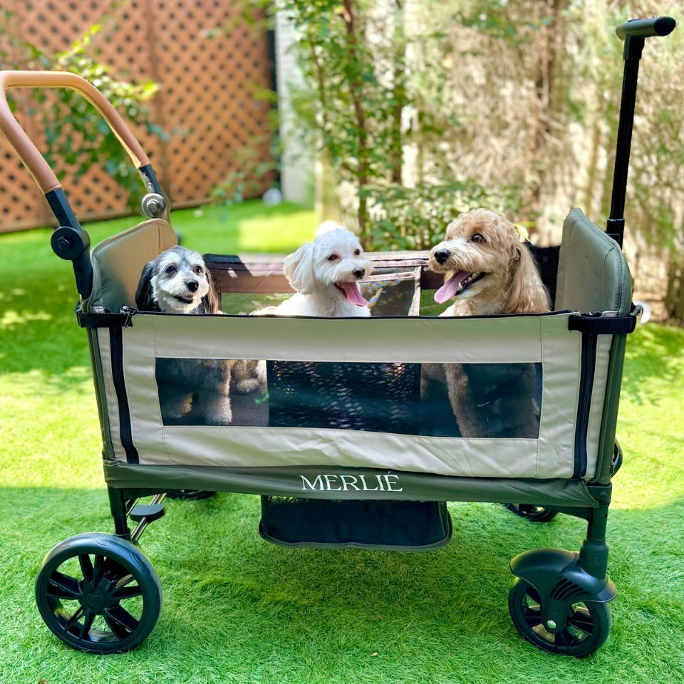 MERLIE 3WAY PET WAGON MW6