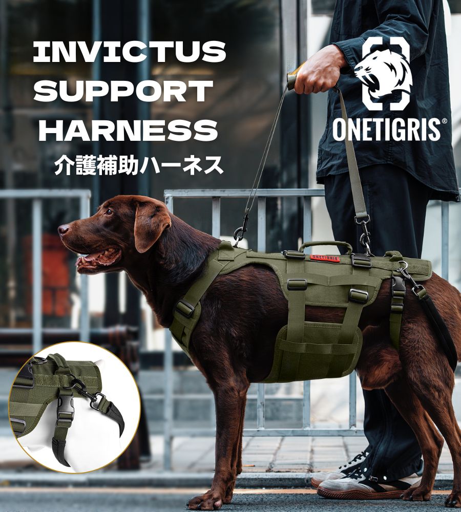 ONETIGRIS INVICTUS SUPPORTハーネス