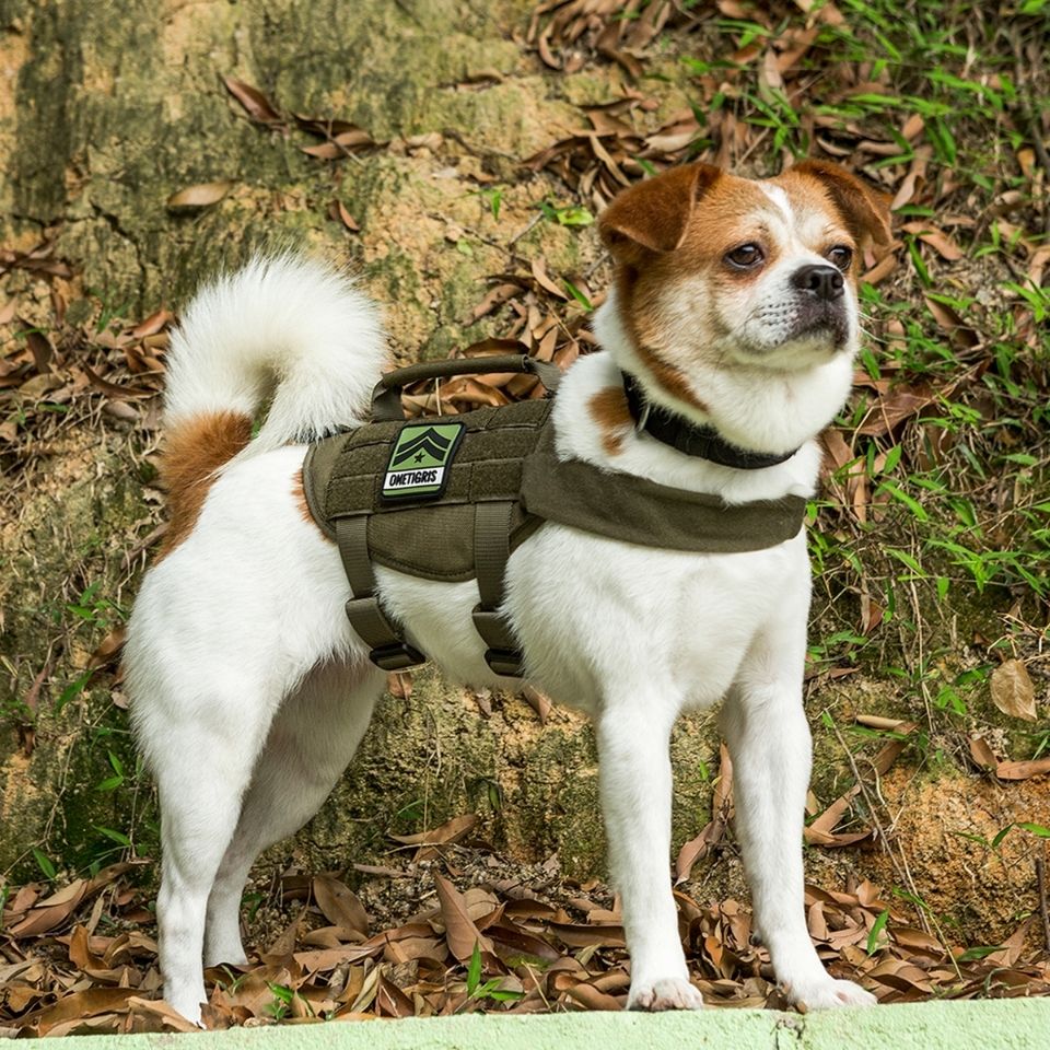 ONETIGRIS BEAST MOJO HARNESS