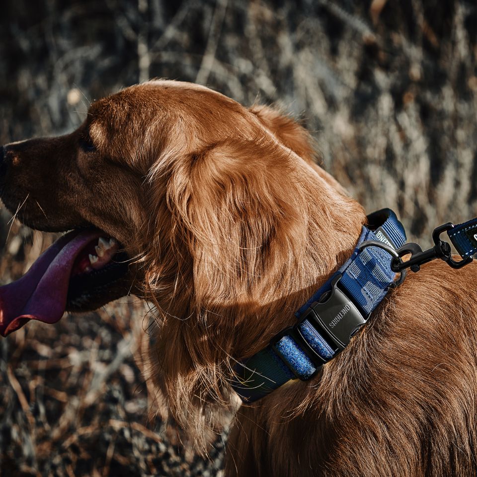 ONETIGRIS BEAST POWER K9 COLLAR