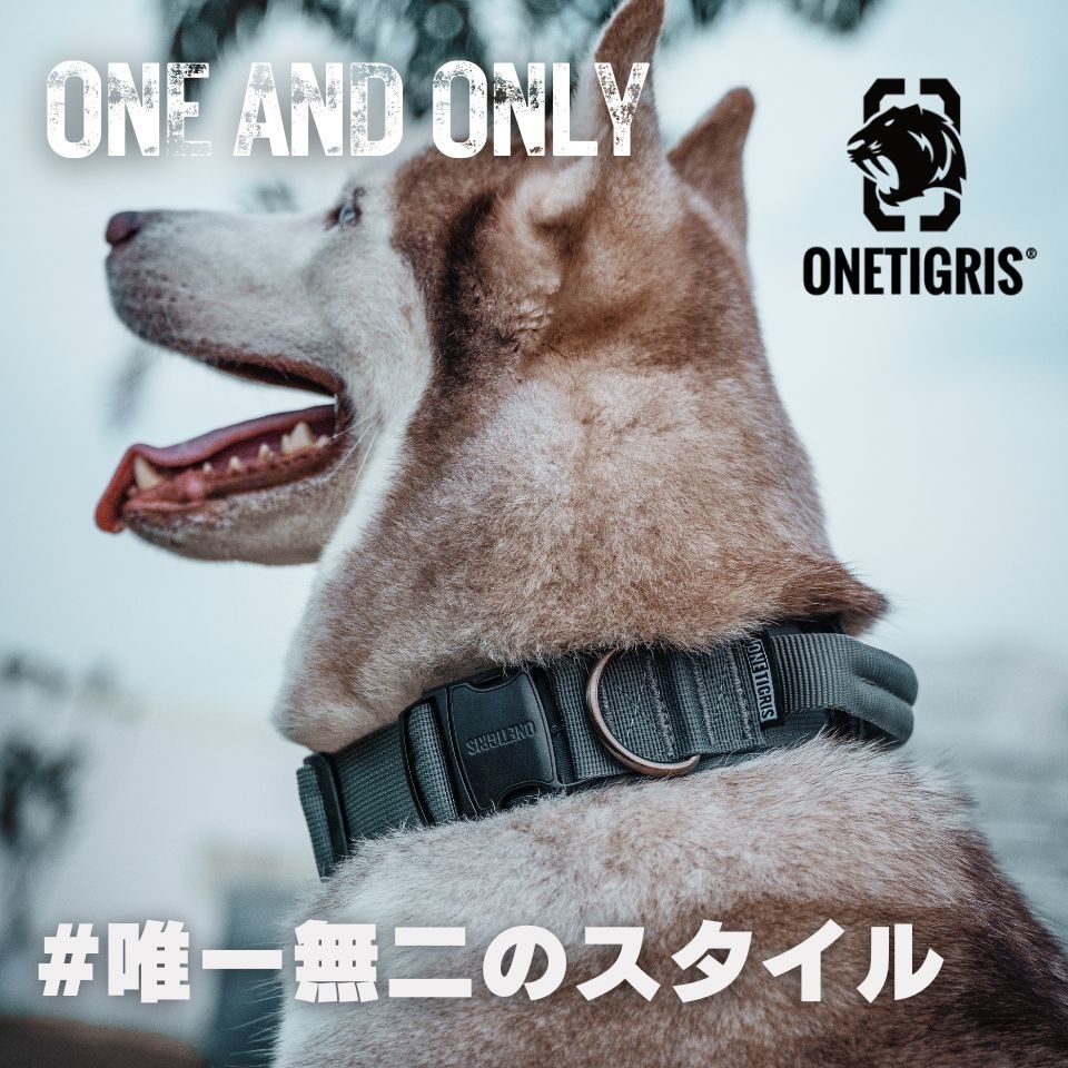 ONETIGRIS BEAST POWER K9 COLLAR リードセット