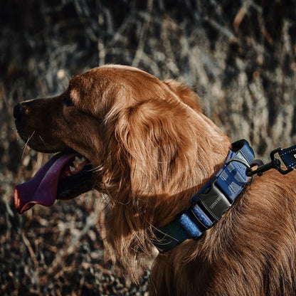 ONETIGRIS BEAST POWER K9 COLLAR リードセット