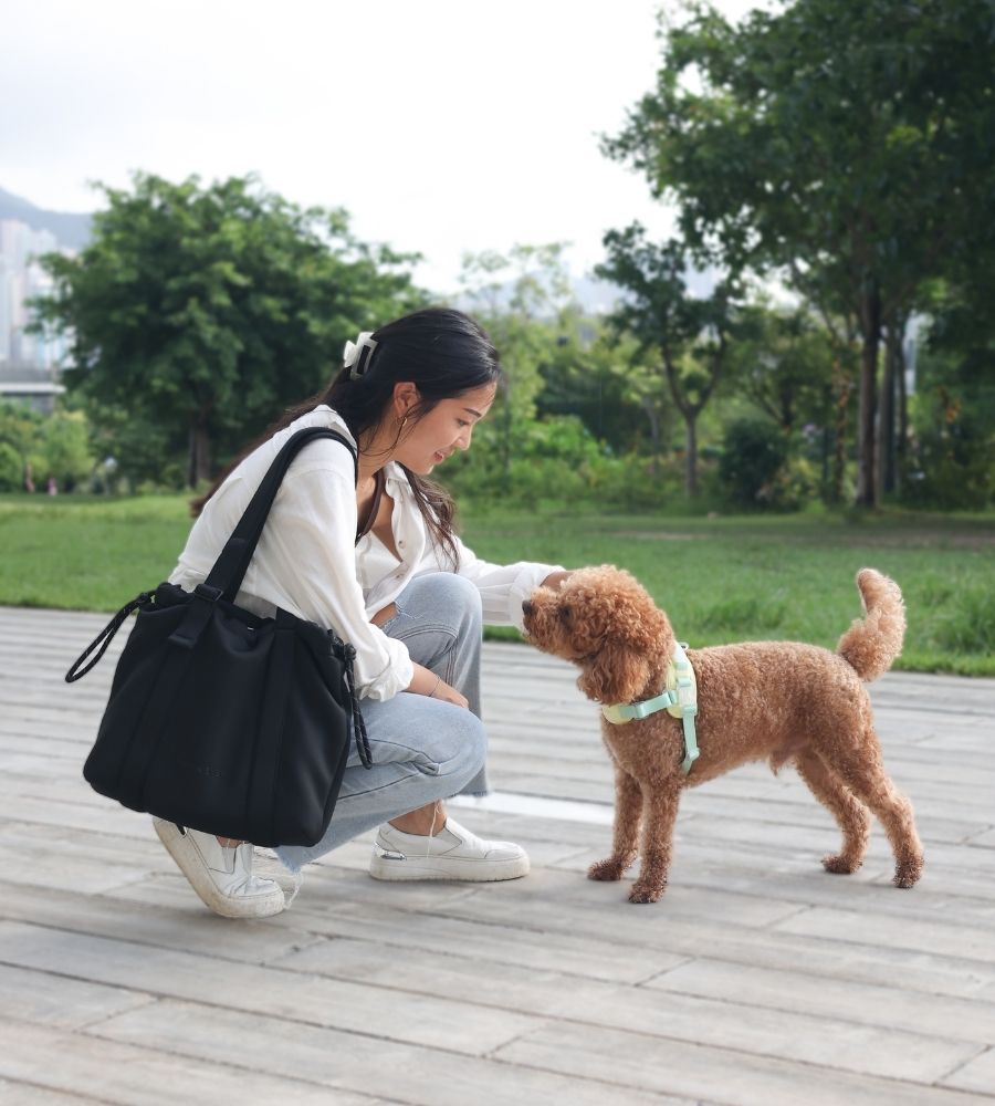 PUPS&BUBS Allday Dog Walking Bag