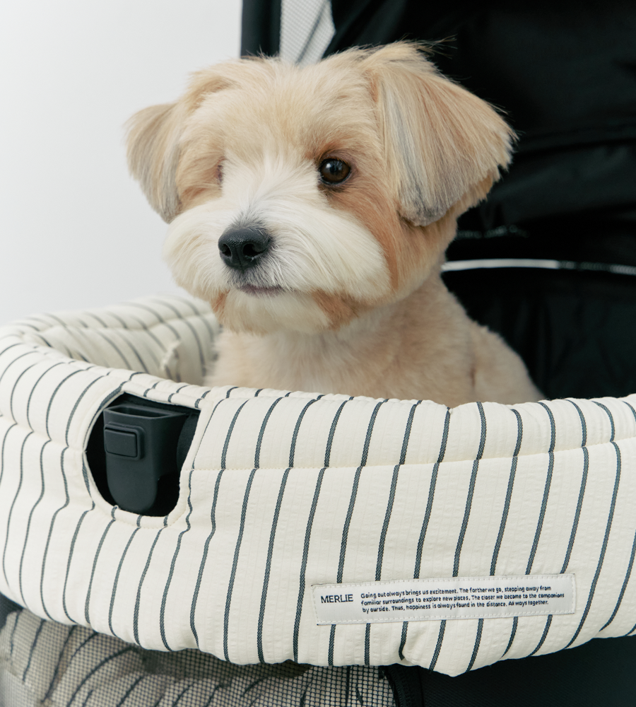 MERLIE リバーシブルクッション3点セット ストライプ