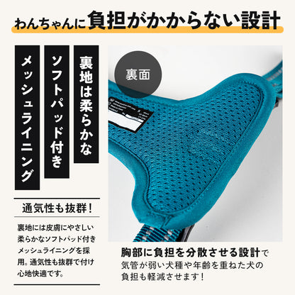 img_07.jpg__PID:56e658e4-69b2-430d-acb8-b8b74906e069